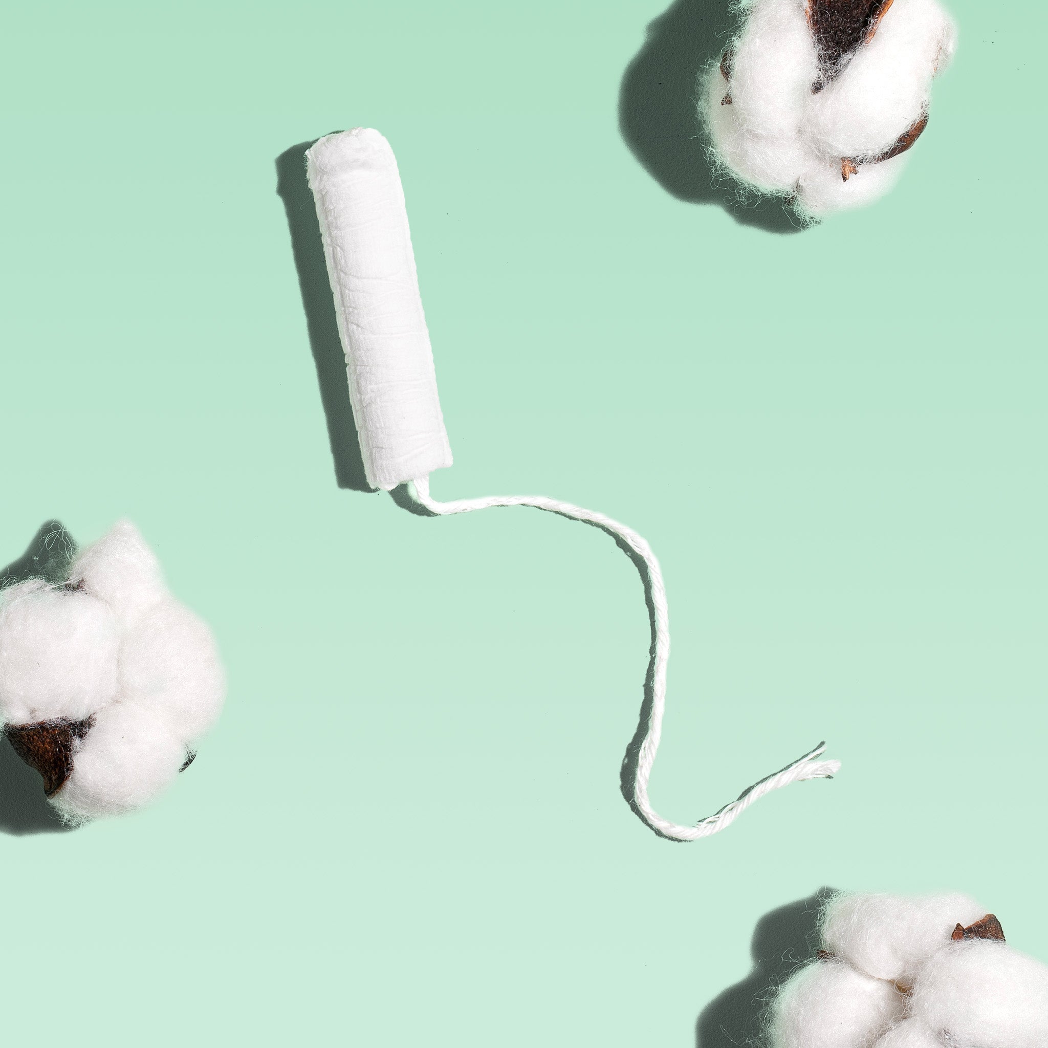 Super Cardboard Applicator Tampons Made With Organic Cotton T3