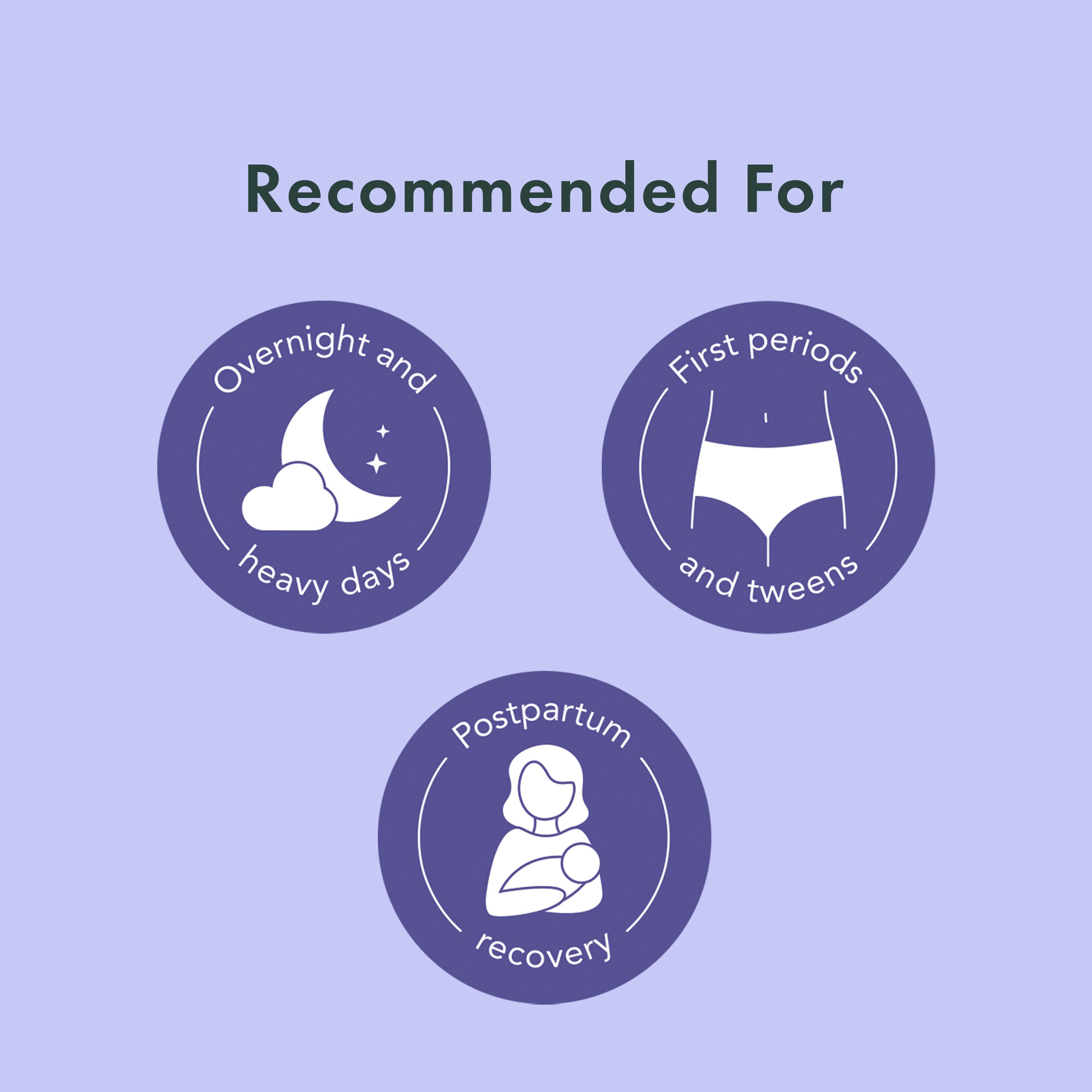 Disposable Period Underwear Made With Organic Cotton P7